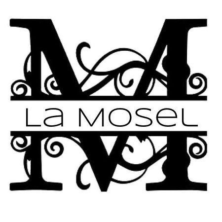 Moselblick Winningen Traumwohnung im „La Mosel“ Exterior foto